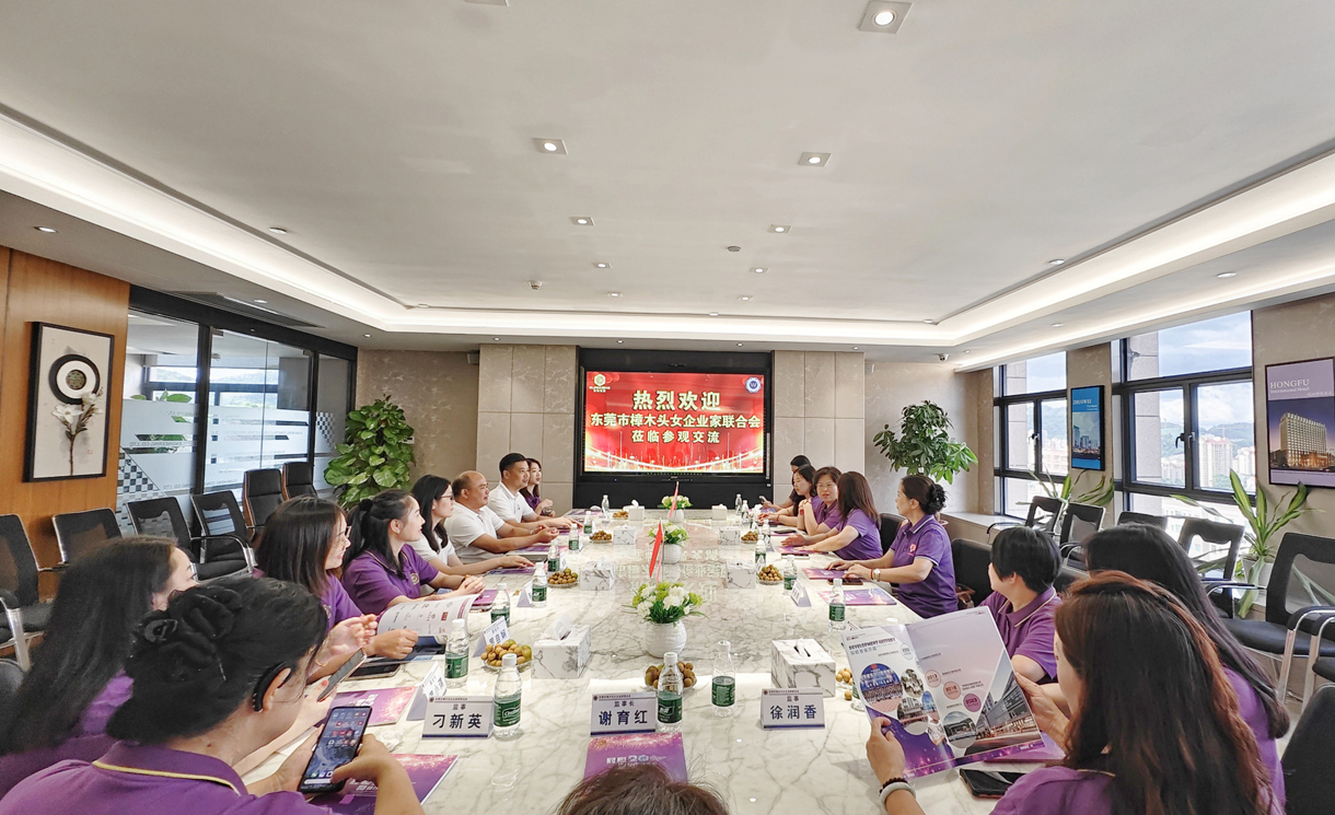 鎮(zhèn)女企業(yè)家聯(lián)合會代表來我司參觀交流